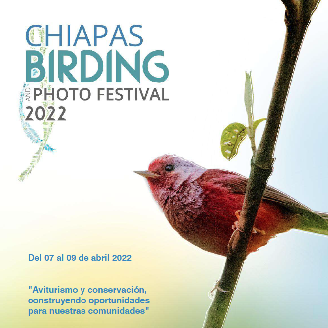https://chiapasbirdingfestival.com/