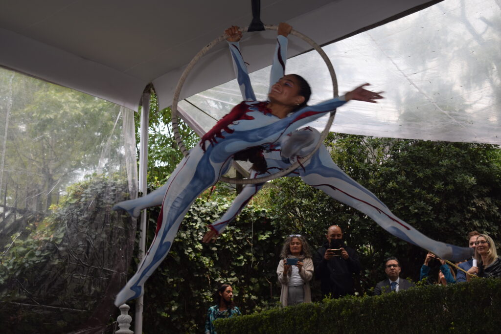 Ejecuciones del Circo de los Niños de San Pancho