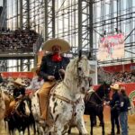 WhatsApp Image 2025-11-11 at 18.47.35 (1)