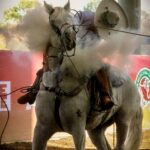 WhatsApp Image 2025-11-11 at 18.47.35