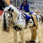 WhatsApp Image 2025-11-11 at 18.47.35 (2)