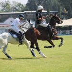 WhatsApp Image 2025-11-23 at 17.10.03